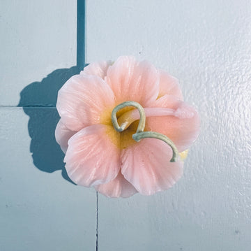 Maui candle - hibiscus