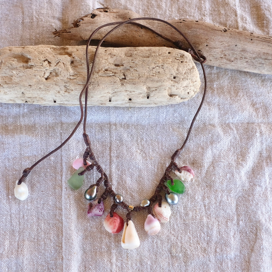 TML1010 Coquillage