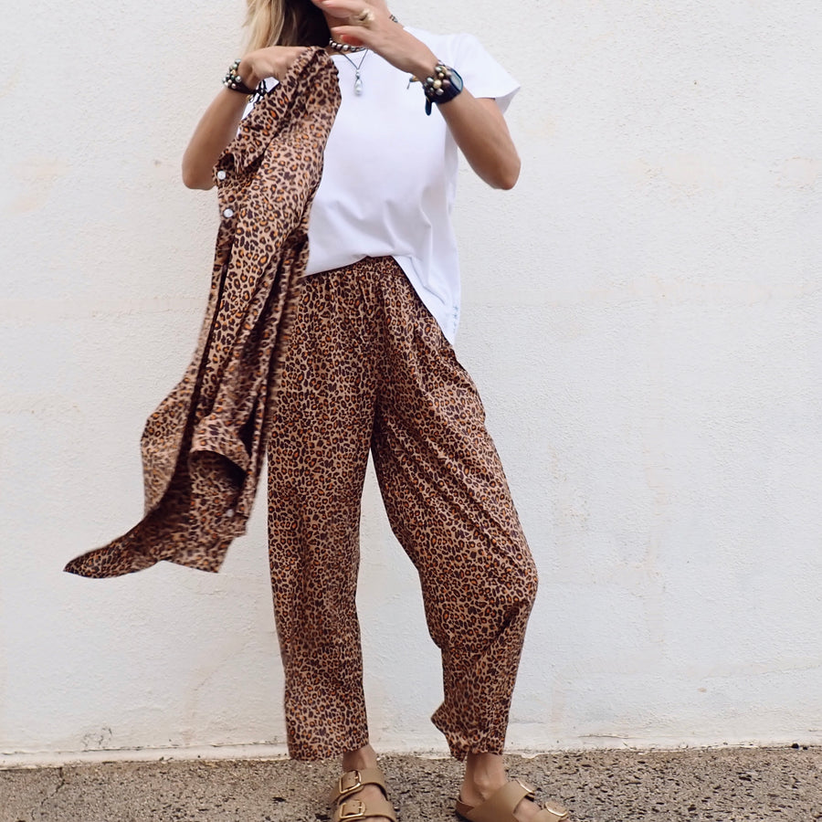 Buttondown Shirt - Small Leo