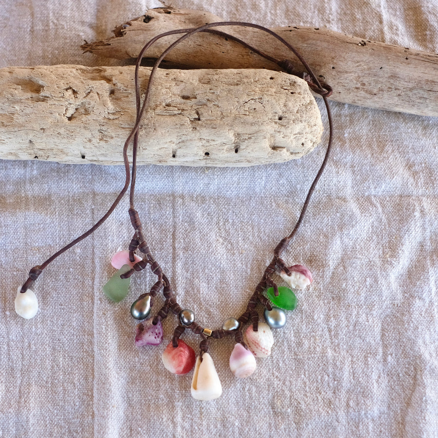 TML1010 Coquillage