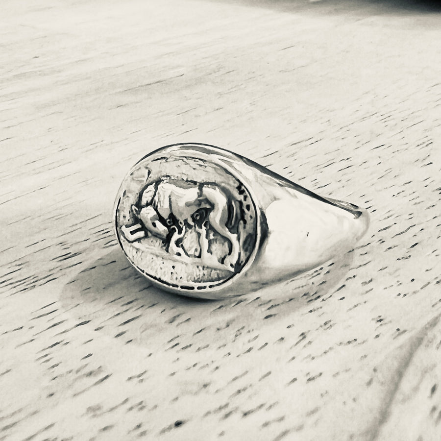 Romulus and Remus Ring - Sterling